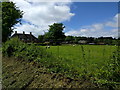 Houses and sheep on King