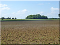 Ploughed field south of Bulls Cross Wood