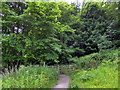 Gate on Footpath near Warkworth