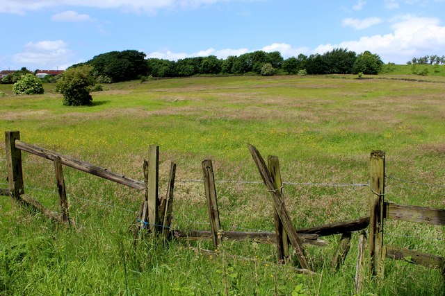 Meadows near Raw Nook