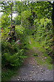 SN0635 : Path climbing away from Pen Rhiw by Christopher Hilton