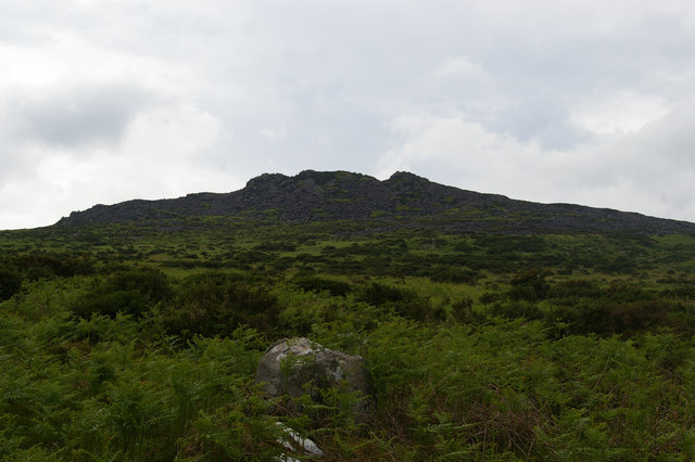 Carningli rock outcrop from below