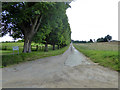 TM0848 : Private road to Park Farm by Robin Webster