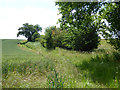 Straggly hedgerow south from Nettlestead Road