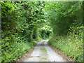 Lane between Hill Top Farm and Walnut Tree Farm