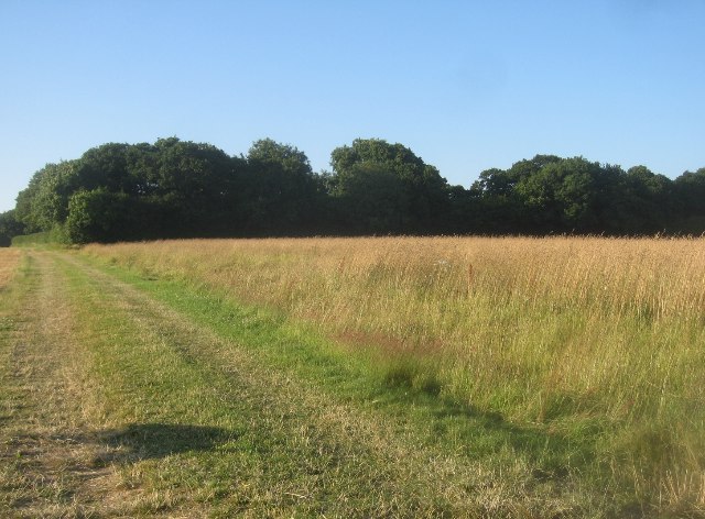 Mother's Copse & Roundgrove Field (36.5 acres)