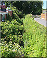 Hurlston Brook at Winstanley Bridge, Smithy Lane