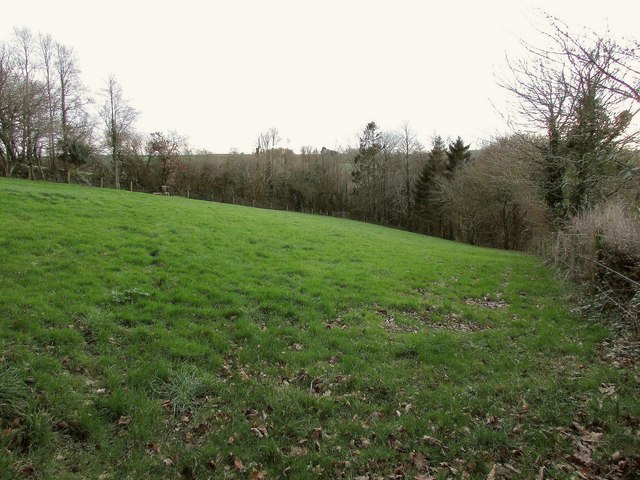 Field by Hawke's Wood