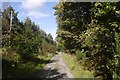 Road from Torwood Castle