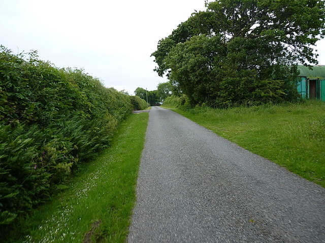 Lane south of Ty-newydd