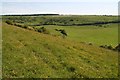 ST8919 : Across the downs towards Compton Abbas Airfield from the North by Chris