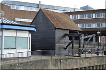 SU9949 : Treadwheel Crane, Town Wharf by N Chadwick