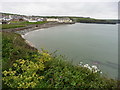 SM8614 : The Pembrokeshire Coast Path at Broad Haven by Dave Kelly
