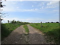 X1780 : Farm track near Grange by Jonathan Thacker