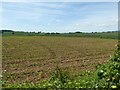 Farmland near Lower Baveney Farm