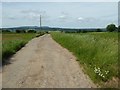 SO6779 : Farm road to Shutley Farm by Philip Halling