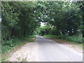 TF8101 : Minor road towards Hilborough by JThomas