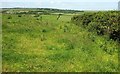 Field above Seccombe Farm