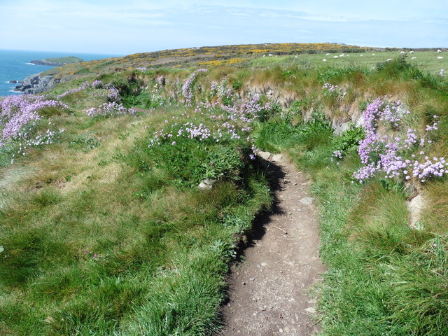 The Pembrokeshire Coast Path near Porthllisky