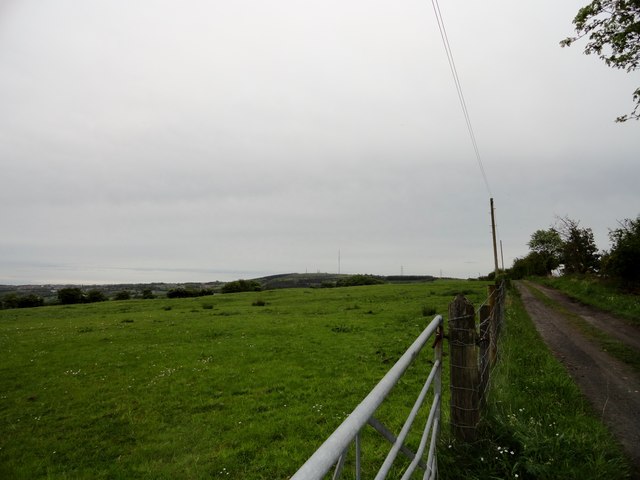 View south near Low Bradley
