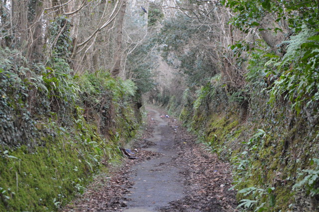 Southway Lane