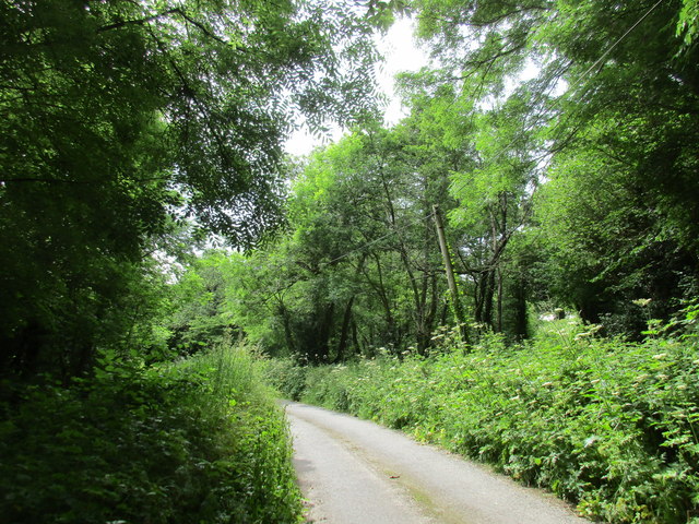 Lane near Lismore