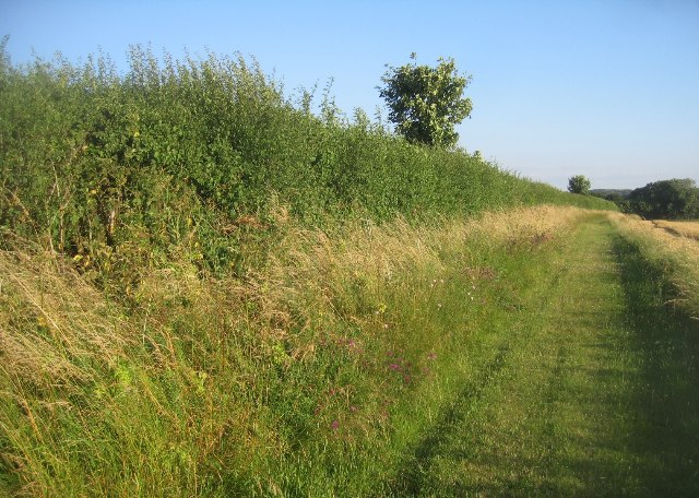 Path along Mothers East Field (13.5 acres)