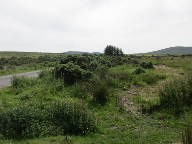 Rough grazing at Clashganny West