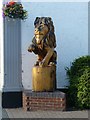 SK3447 : The Lion Hotel's Lion by Alan Murray-Rust
