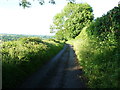 Along the lane towards Torcoed Fawr