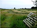 Mown grass, Backhill