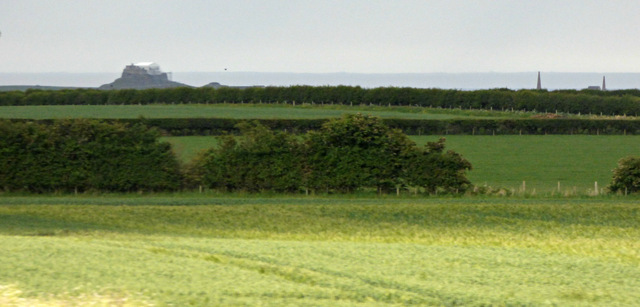 Fields near Elwick
