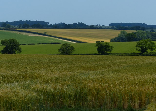 Norfolk farmland near Fring