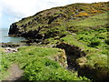 The Pembrokeshire Coast Path near Aber-pwll