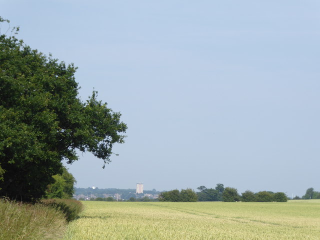 View from footpath at Furze House Farm