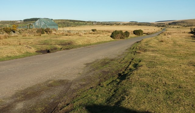 Lane On Harpur's Downs © Derek Harper :: Geograph Britain And Ireland