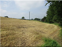 W3665 : Cut hayfield near Poulanargid by Jonathan Thacker