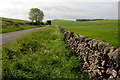 The road to Custard Field Farm