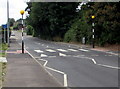 Zebra crossing on a hump, Greenway Road, Cardiff