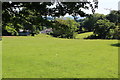 Pasture above Manmoel Village