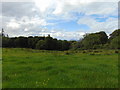 View towards the Lime Kilns