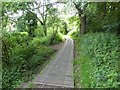 Boardwalk in woods west of Bourne Pond