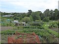 Grants Meadow Allotments, Colchester