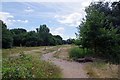 Path on Leyton Flats