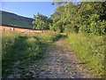 Path on West Hill near Sutton Poyntz