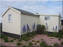 NT6678 : Coastal East Lothian : Beach Hut And Delphiniums at Winterfield Mains by Richard West