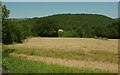 View from Hockmoor Head