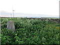 Trig point on Hill of Lybster near the technology park at Forss