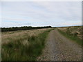 ND2867 : Farm track beside a plantation at Lochend by John Ferguson