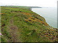 The Pembrokeshire Coast Path near Pen-y-Graig